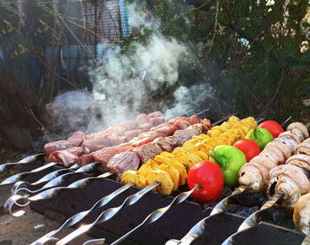 Vegetables and meat kebab on barbecue grill   in the fresh air