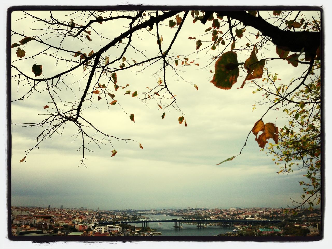 transfer print, auto post production filter, sky, built structure, architecture, tree, cloud - sky, city, branch, building exterior, cityscape, connection, bridge - man made structure, river, water, cloudy, cloud, nature, bare tree, outdoors