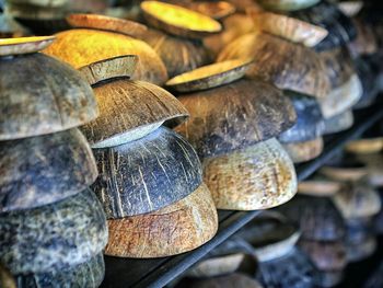 Close-up of coconuts in shelf