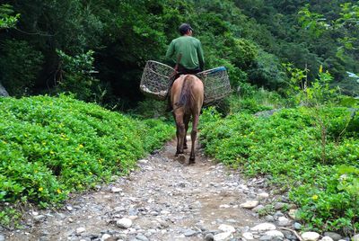 Rear view of man standing on dirt road