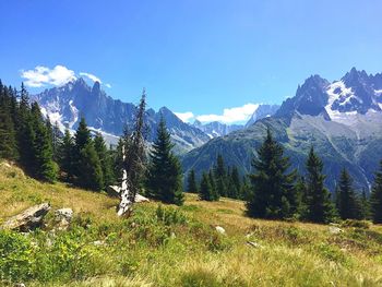 Scenic view of landscape and mountains against sky