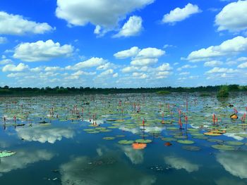 Scenic view of lake against sky