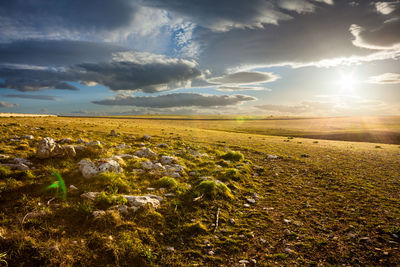 Scenic view of field against sky during sunset
