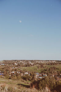 Scenic view of field against clear sky