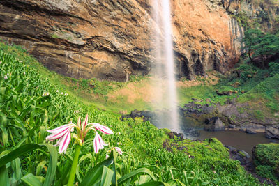 Scenic view of waterfall