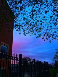 Low angle view of trees and buildings against blue sky