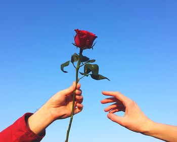Cropped hand of woman giving red rose to friend against clear blue sky