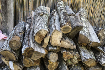 Stack of logs in forest