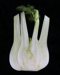 Close-up of vegetables against black background