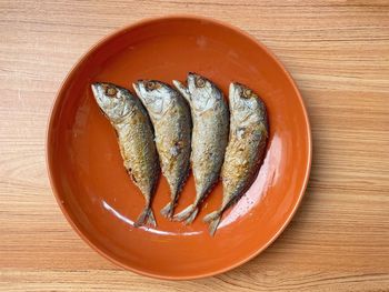 High angle view of fish on table