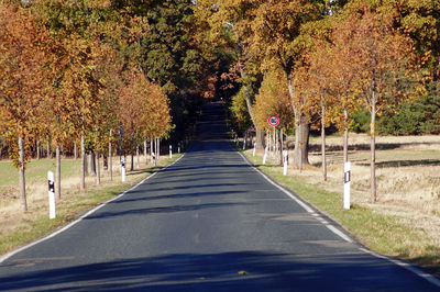 Road amidst trees in park during autumn