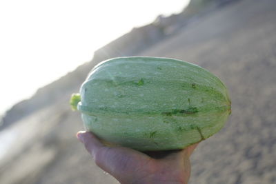 Close-up of hand holding fruit