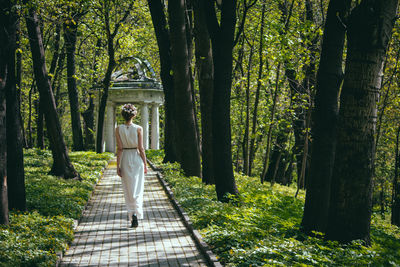 Rear view of woman walking amidst trees in forest