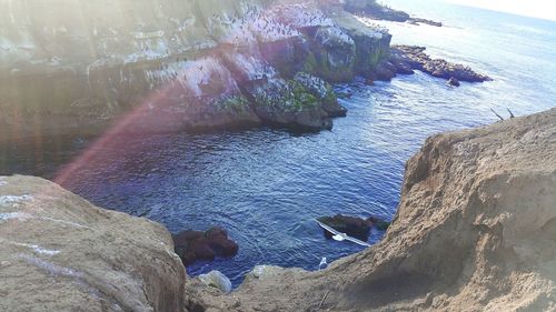 High angle view of birds on rock formation in sea
