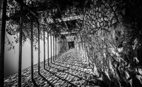 Narrow alley amidst trees against wall