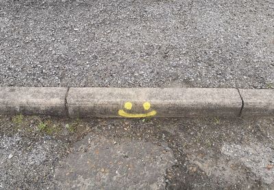 High angle view of yellow leaf on road