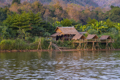 Wooden house and trees by lake