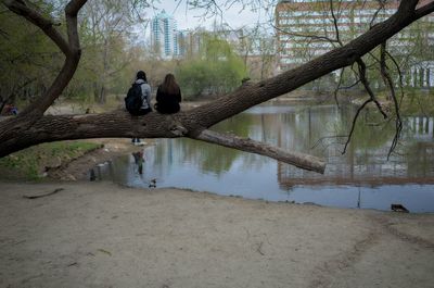 Reflection of trees in water