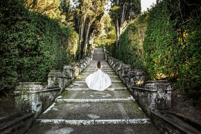 Rear view of bride walking on steps amidst trees