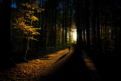 Woman in forest during autumn