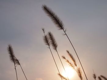 Low angle view of sky during sunset