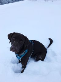snow