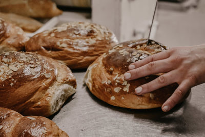 Cropped image of man preparing food