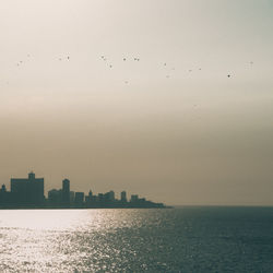 Silhouette of city at waterfront