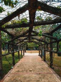 Footpath amidst trees in park