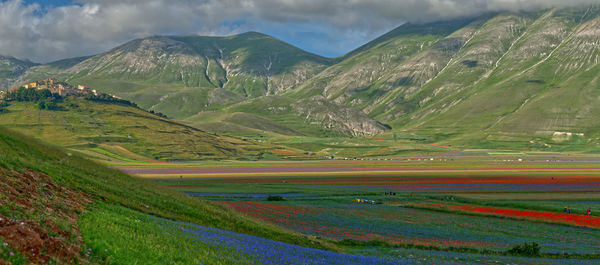 Scenic view of landscape against sky