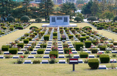 View of cemetery against trees