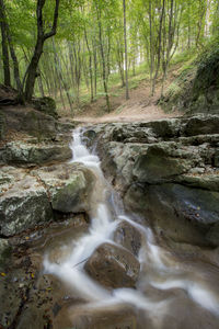 View of waterfall in forest