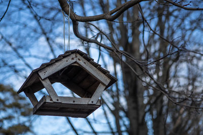 Low angle view of birdhouse on tree against sky