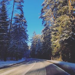 Road amidst trees against sky