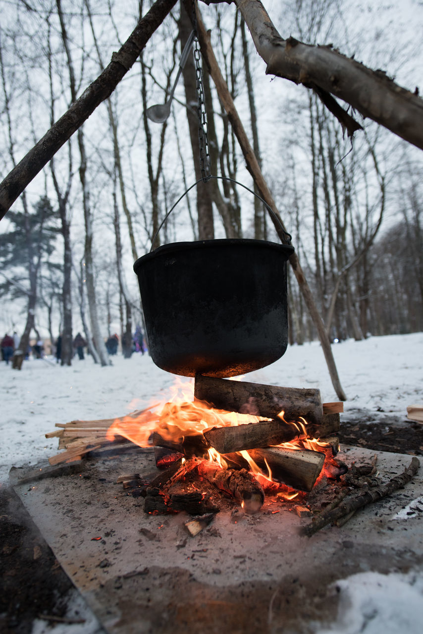 fire, burning, tree, winter, flame, nature, heat, snow, cold temperature, bonfire, wood, log, camping, land, forest, campfire, firewood, day, no people, plant, outdoors, bare tree, iron, food and drink, fireplace, environment, kitchen utensil, smoke, tree trunk, food, trunk