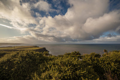 Scenic view of cloudy sky over sea