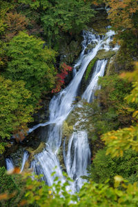 Scenic view of waterfall in forest