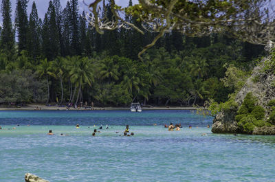 View of ducks swimming in lake