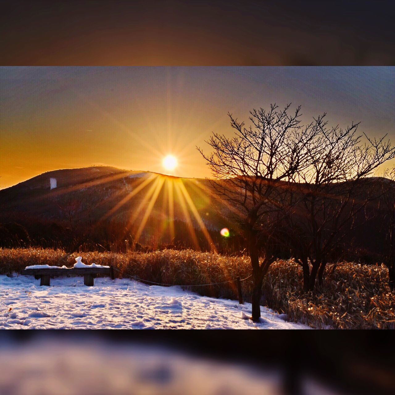 snow, winter, cold temperature, sun, sunset, season, sunbeam, sunlight, covering, tranquil scene, frozen, tranquility, nature, lens flare, weather, bare tree, landscape, scenics, beauty in nature, sky