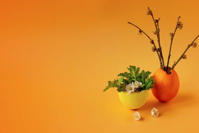 Close-up of fruit against orange background