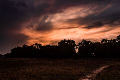 Silhouette trees on field against sky during sunset