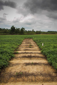 Scenic view of field against cloudy sky