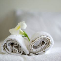 Close-up of white flower on table