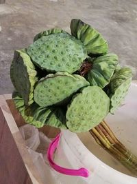 High angle view of succulent plant on table