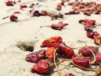 Close-up of sand on beach