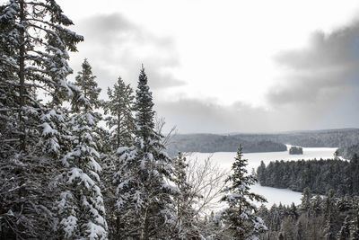 View from the top of a hill in algonquin park looking over a frozen landscape.