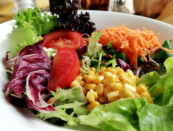 Close-up of meal served in plate