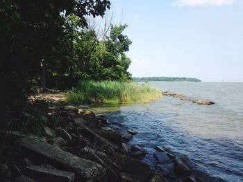 Scenic view of sea against sky