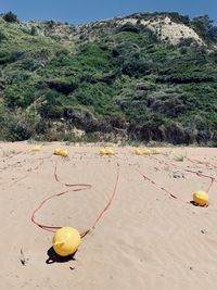 Yellow leaf on beach