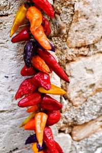 Close-up of red chili peppers on wall